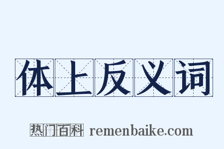 体上反义词是什么意思的图片